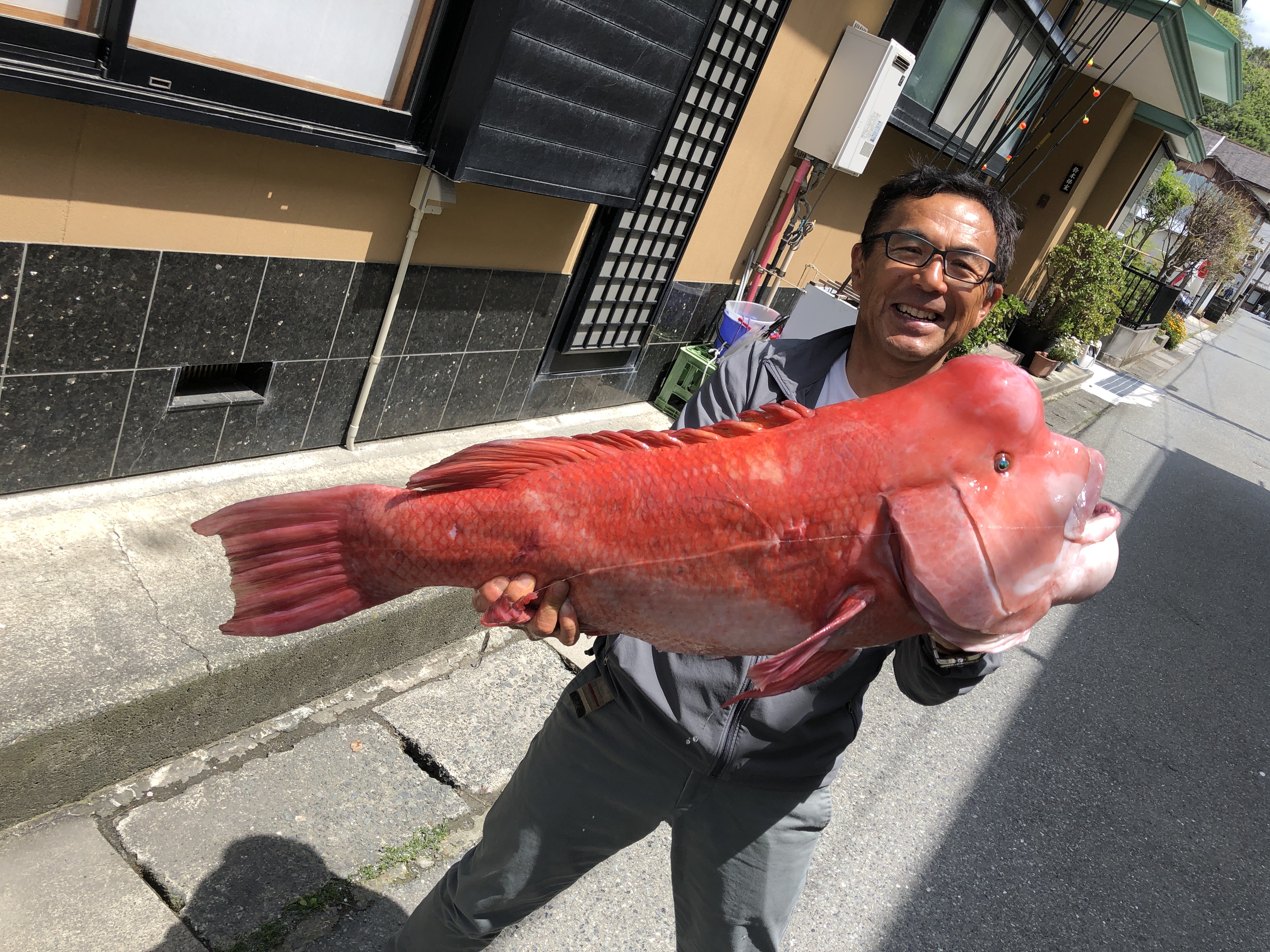 駿河湾で超大型コブダイを釣ってきました！